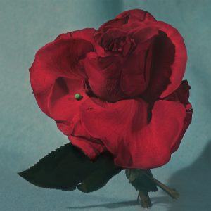METZ Up On Gravity Hill album art Sub Pop